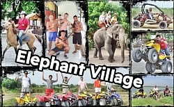 สถานที่ท่องเที่ยว ปางช้าง พัทยา