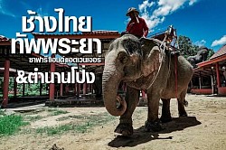 ขี่ช้างเที่ยวชม