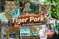 สวนสัตว์ tiger park